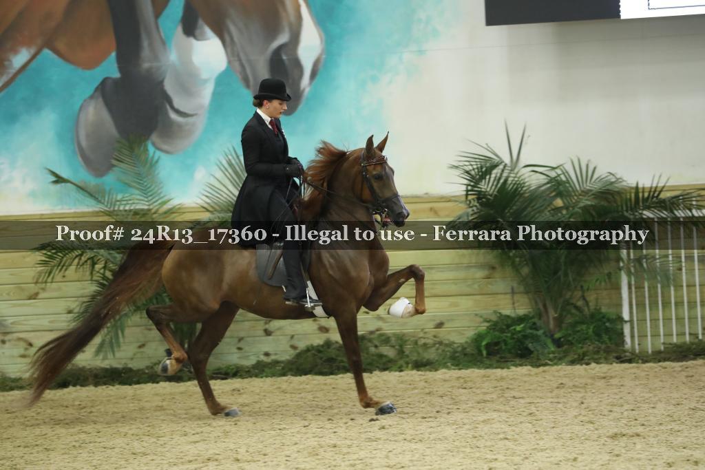 Proof 24R13_17360