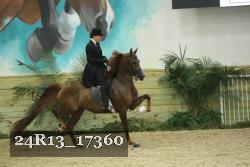 24R13_17360 proof