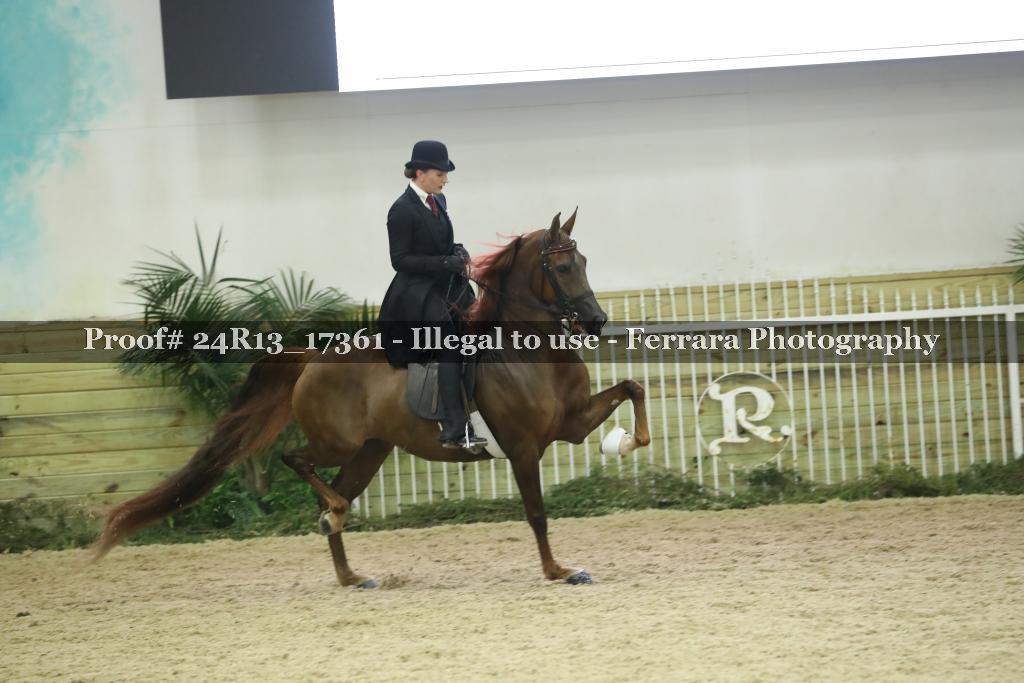 Proof 24R13_17361