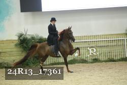 24R13_17361 proof