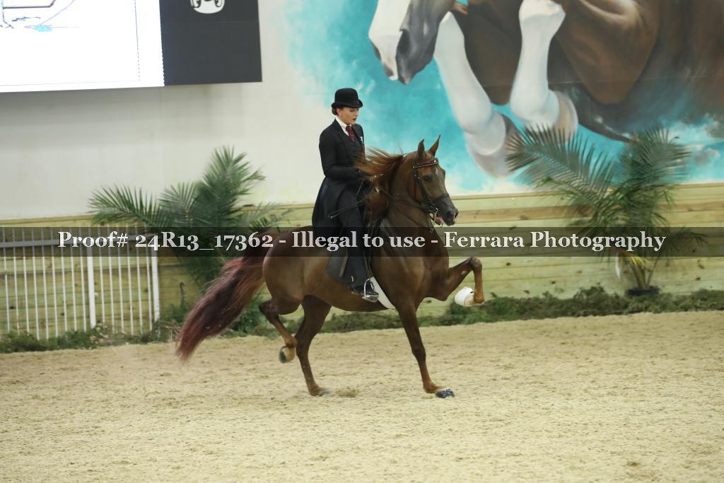 Proof 24R13_17362