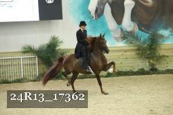 24R13_17362 proof
