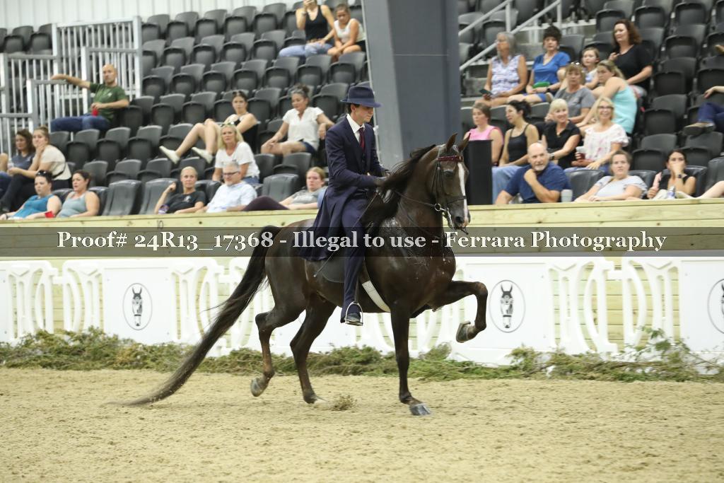 Proof 24R13_17368