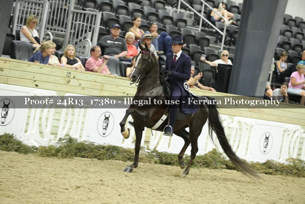 Proof 24R13_17380