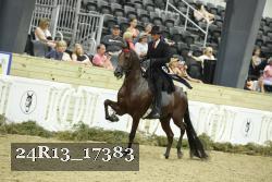 24R13_17383 proof