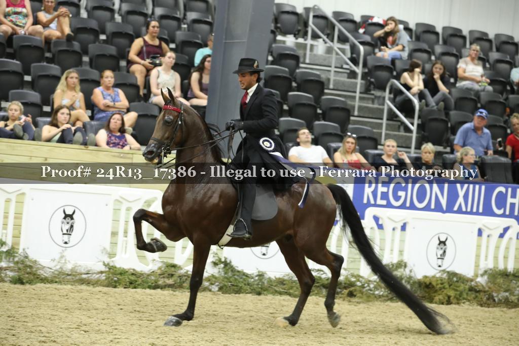 Proof 24R13_17386