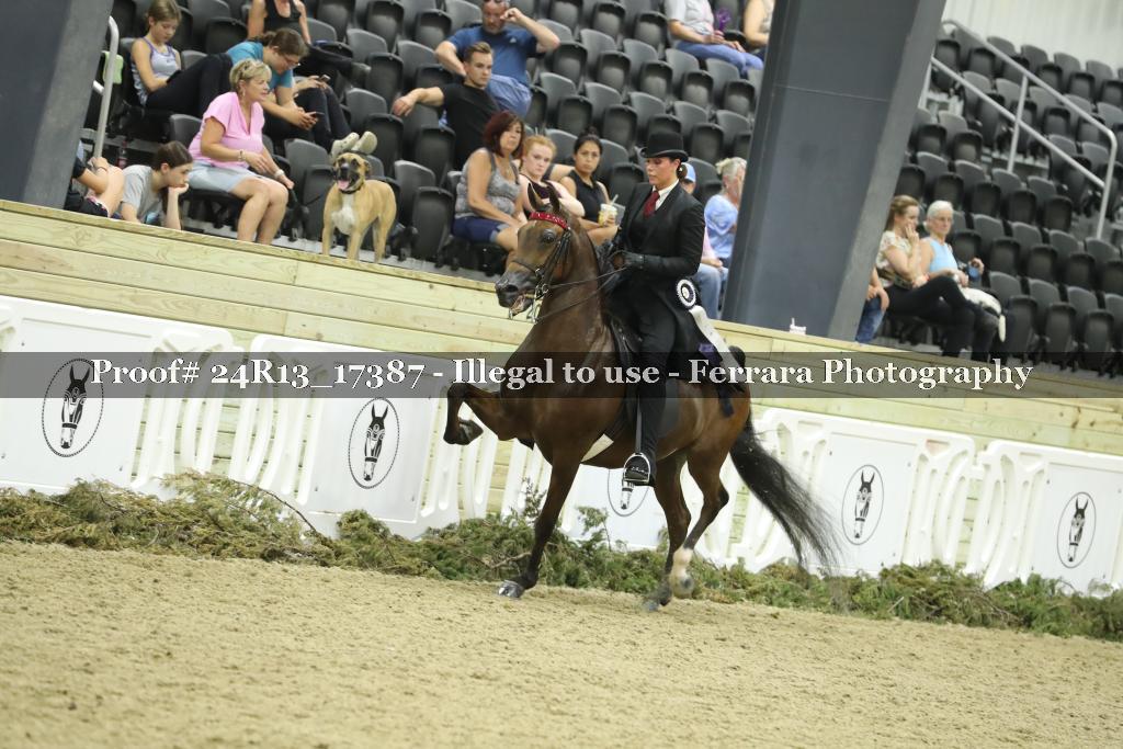 Proof 24R13_17387