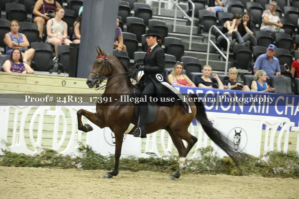 Proof 24R13_17391
