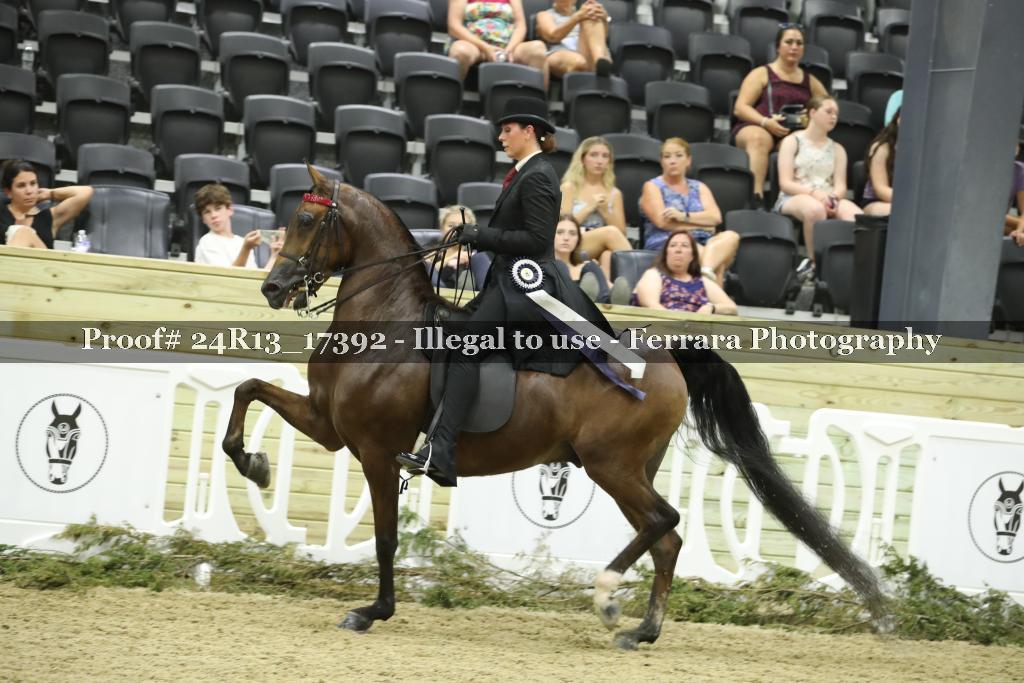 Proof 24R13_17392