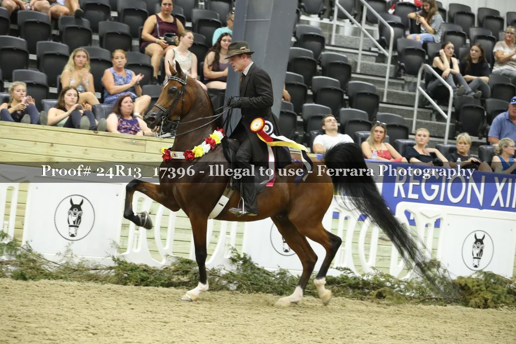 Proof 24R13_17396