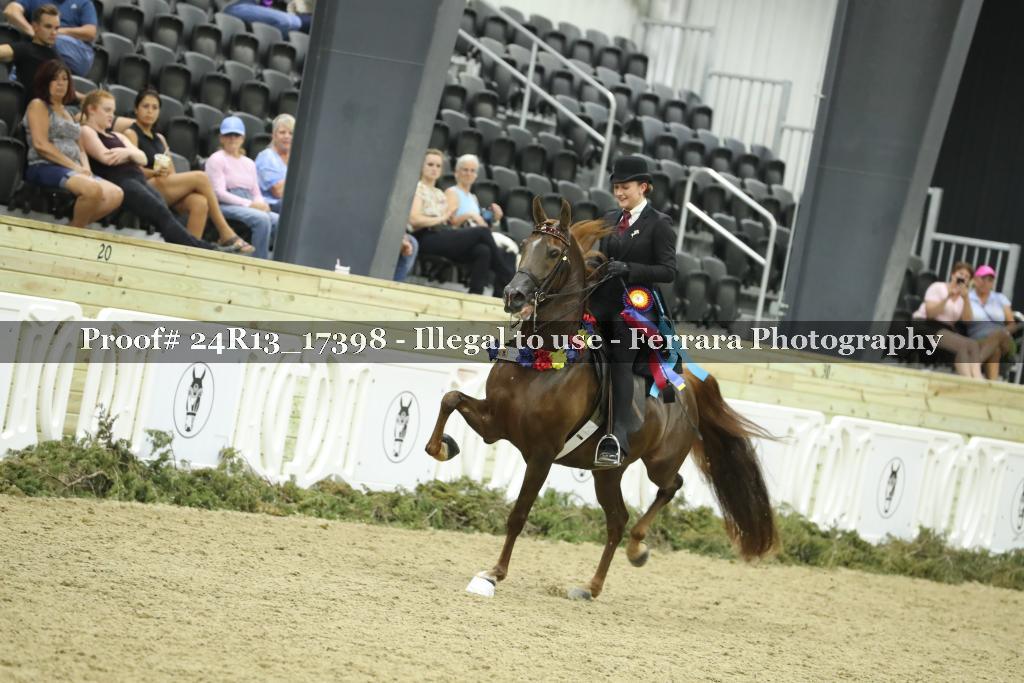 Proof 24R13_17398