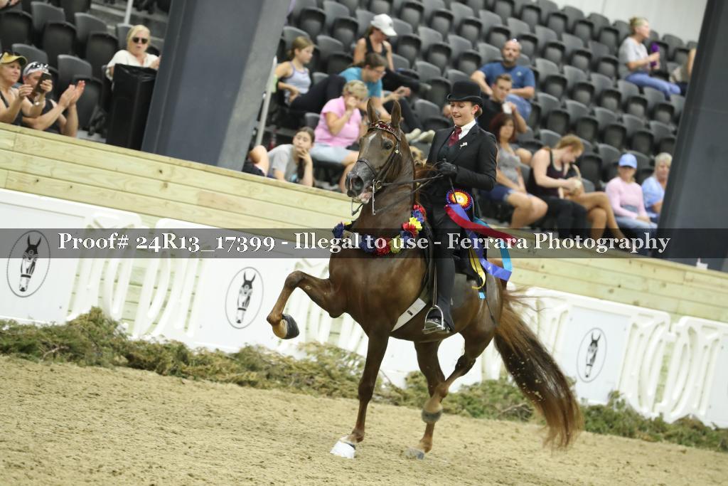 Proof 24R13_17399