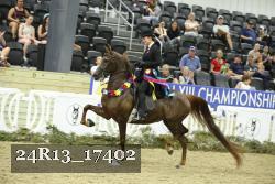 24R13_17402 proof