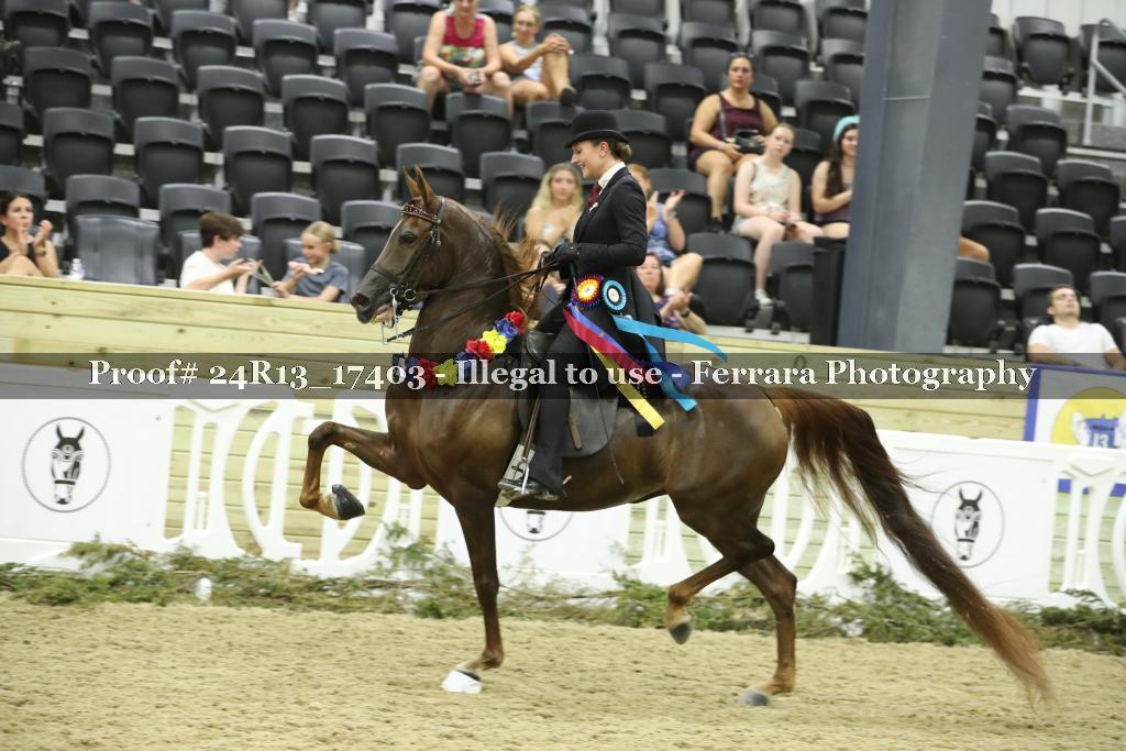 Proof 24R13_17403