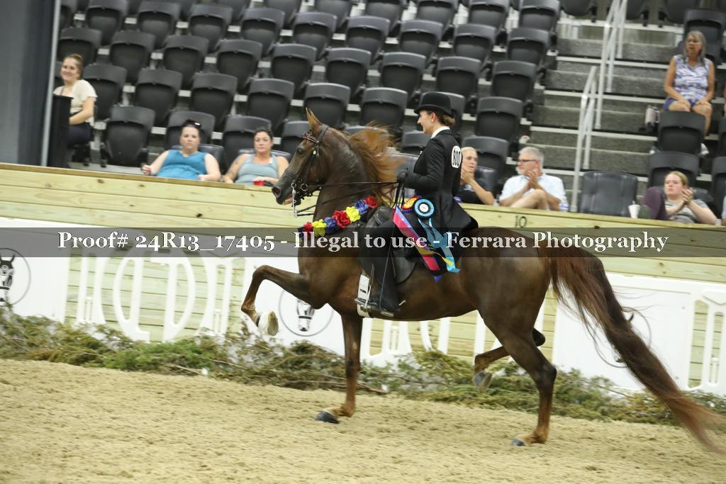 Proof 24R13_17405