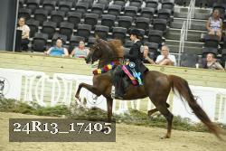 24R13_17405 proof