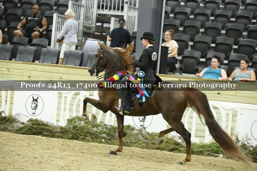 Proof 24R13_17406