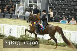 24R13_17406 proof