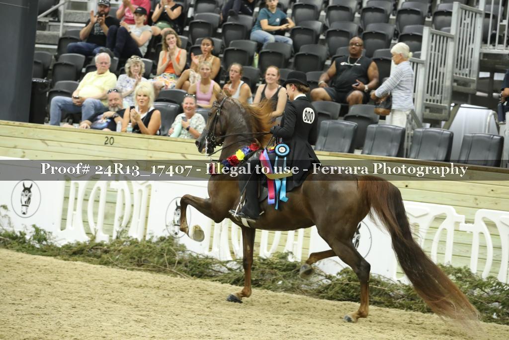 Proof 24R13_17407