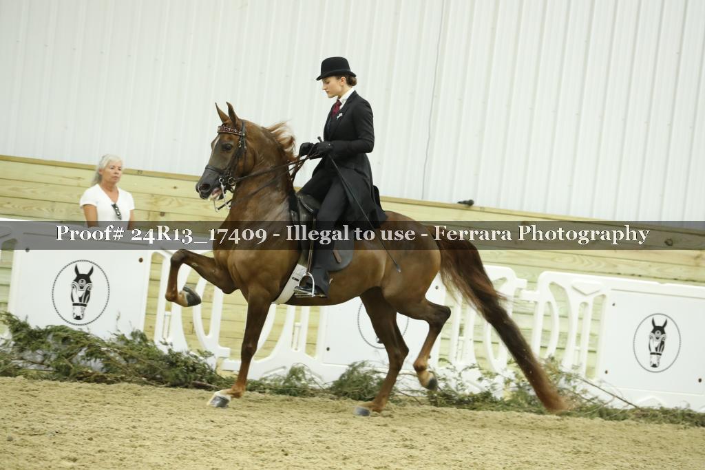 Proof 24R13_17409