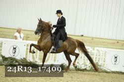 24R13_17409 proof