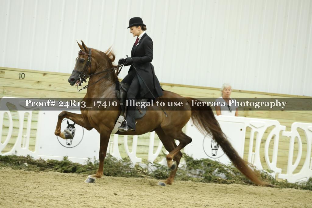 Proof 24R13_17410