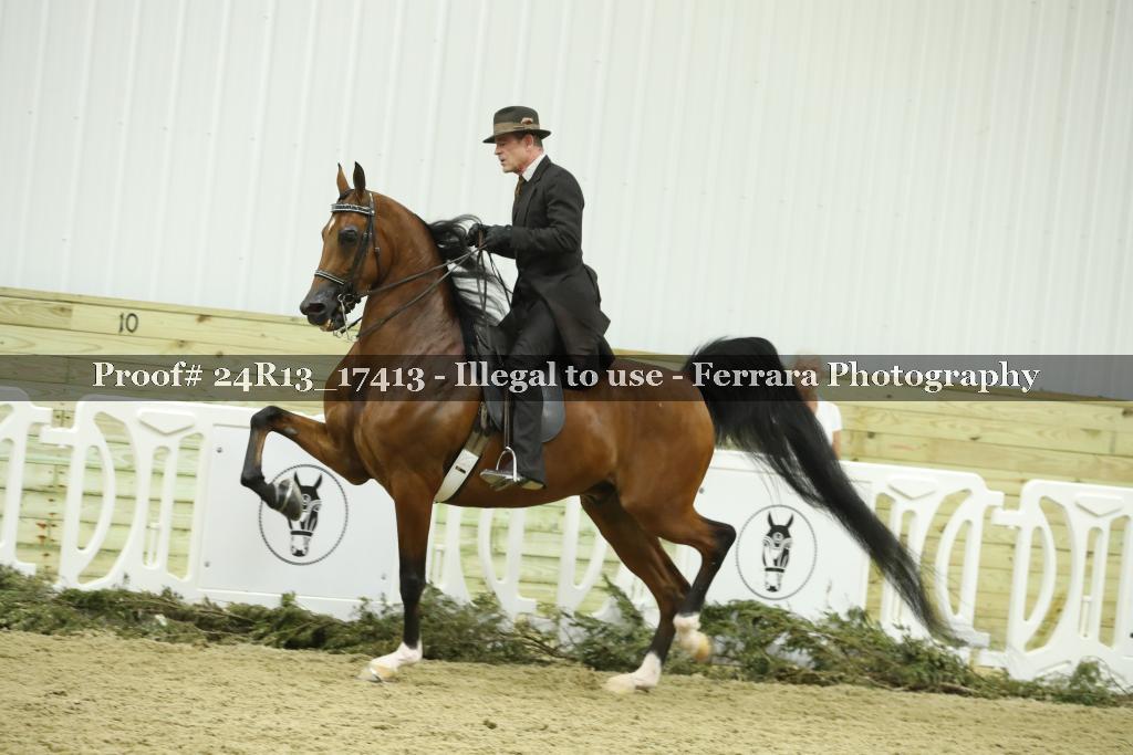 Proof 24R13_17413