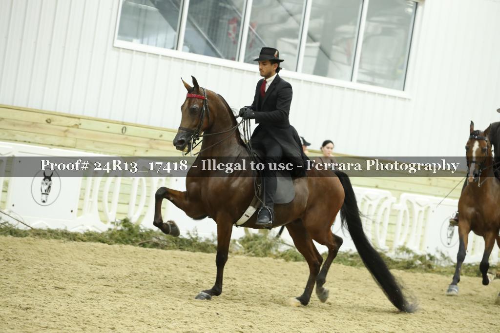Proof 24R13_17418