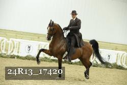 24R13_17420 proof