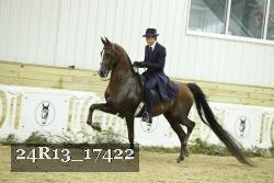 24R13_17422 proof