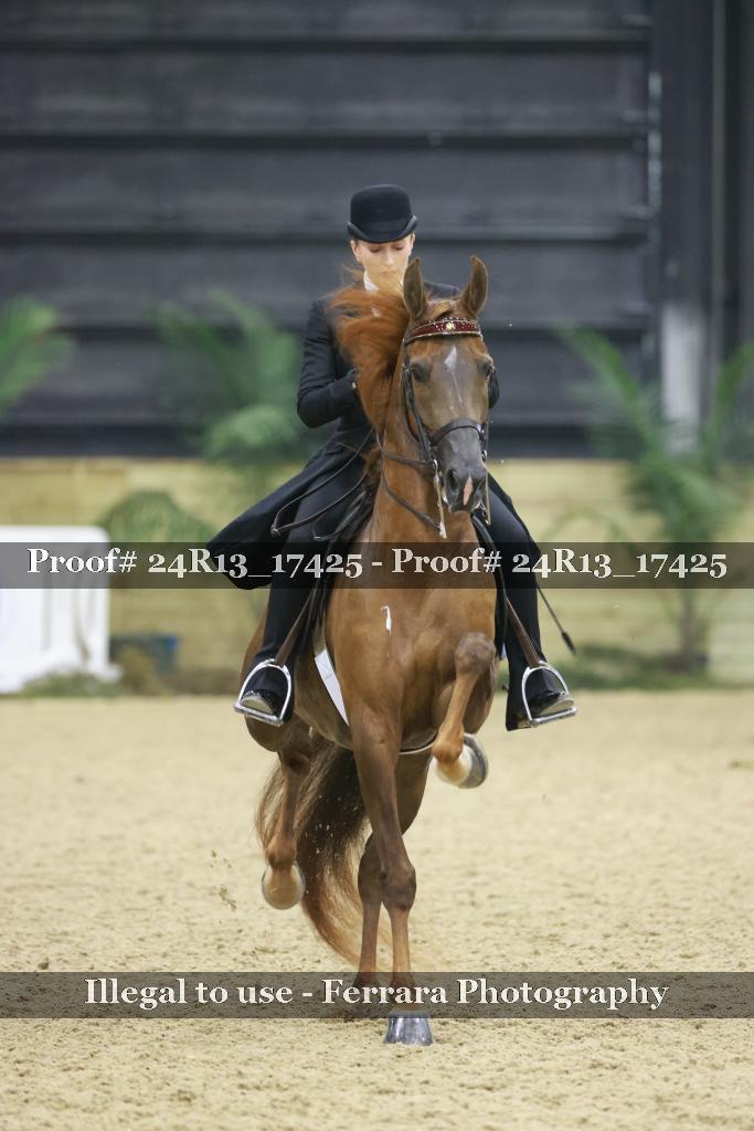 Proof 24R13_17425