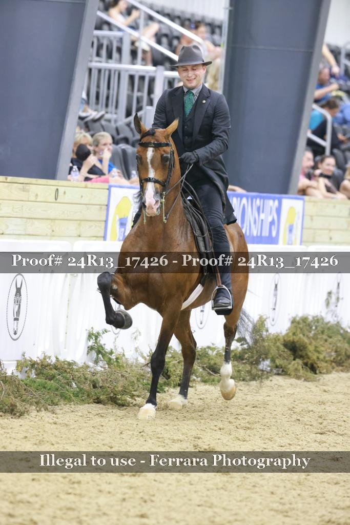 Proof 24R13_17426