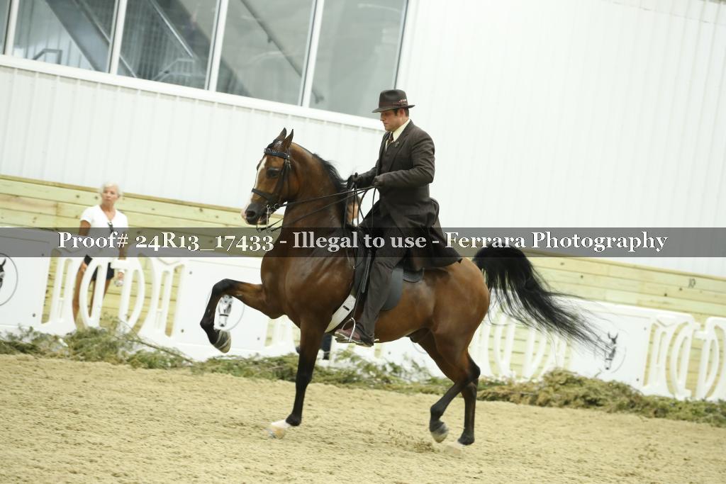 Proof 24R13_17433