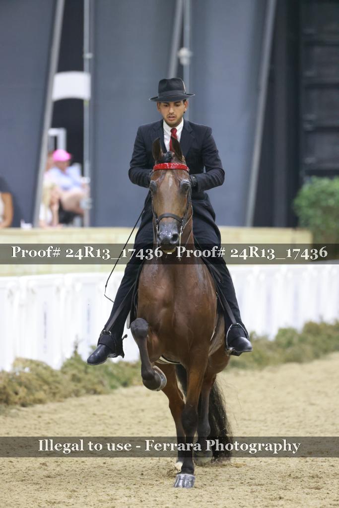 Proof 24R13_17436