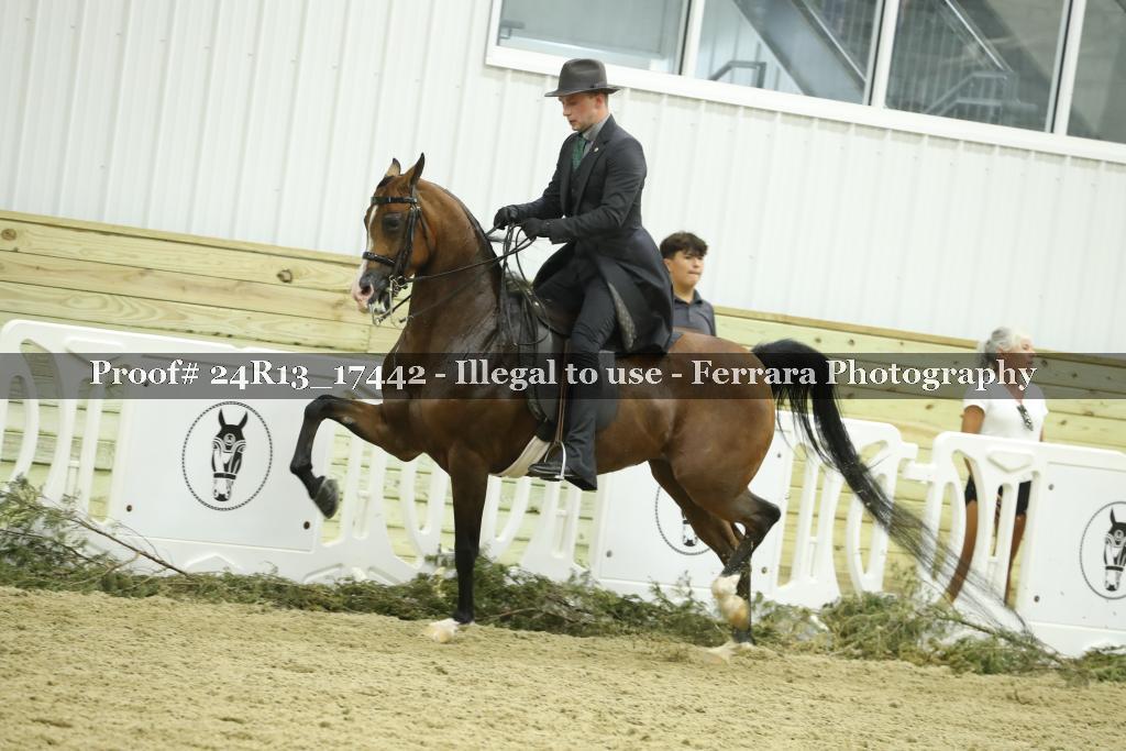 Proof 24R13_17442