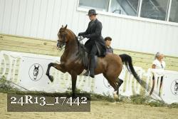 24R13_17442 proof