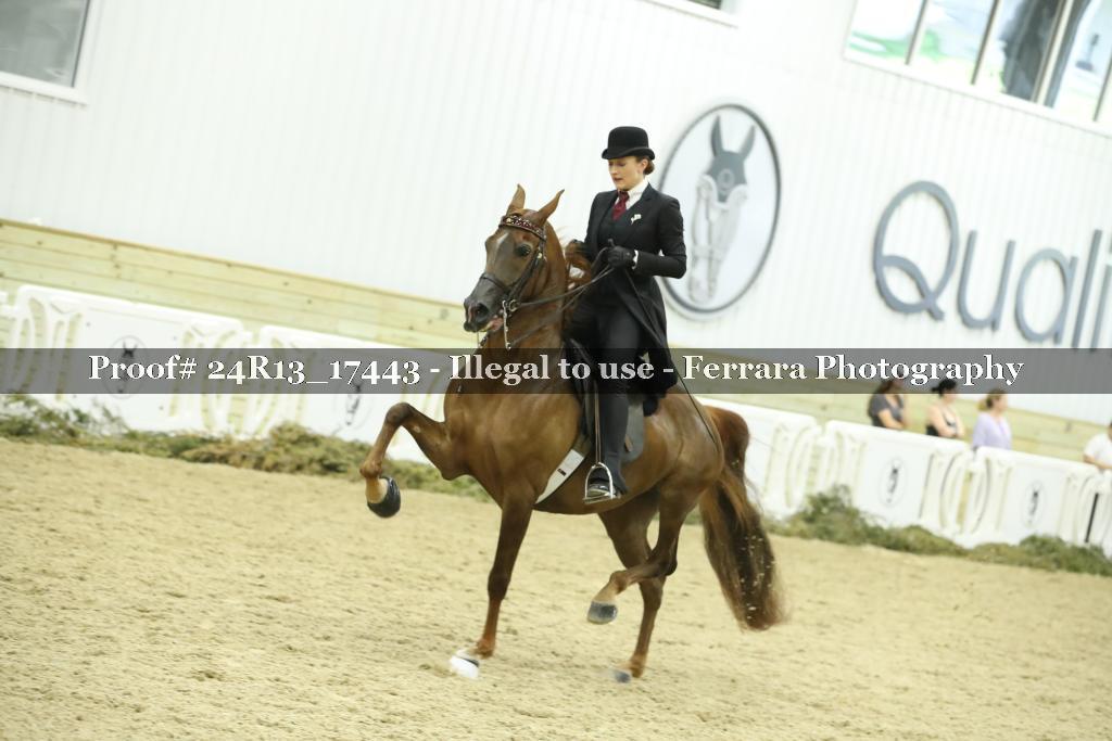 Proof 24R13_17443