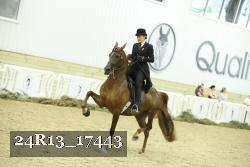 24R13_17443 proof