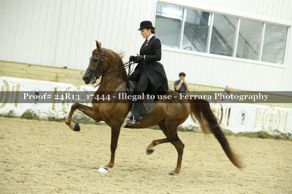 Proof 24R13_17444