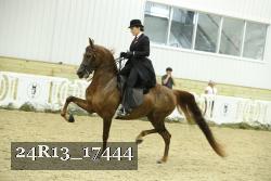 24R13_17444 proof