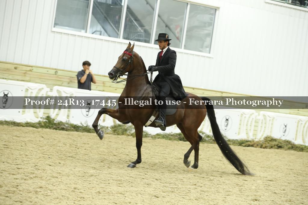Proof 24R13_17445