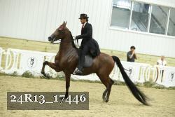 24R13_17446 proof