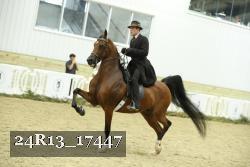 24R13_17447 proof