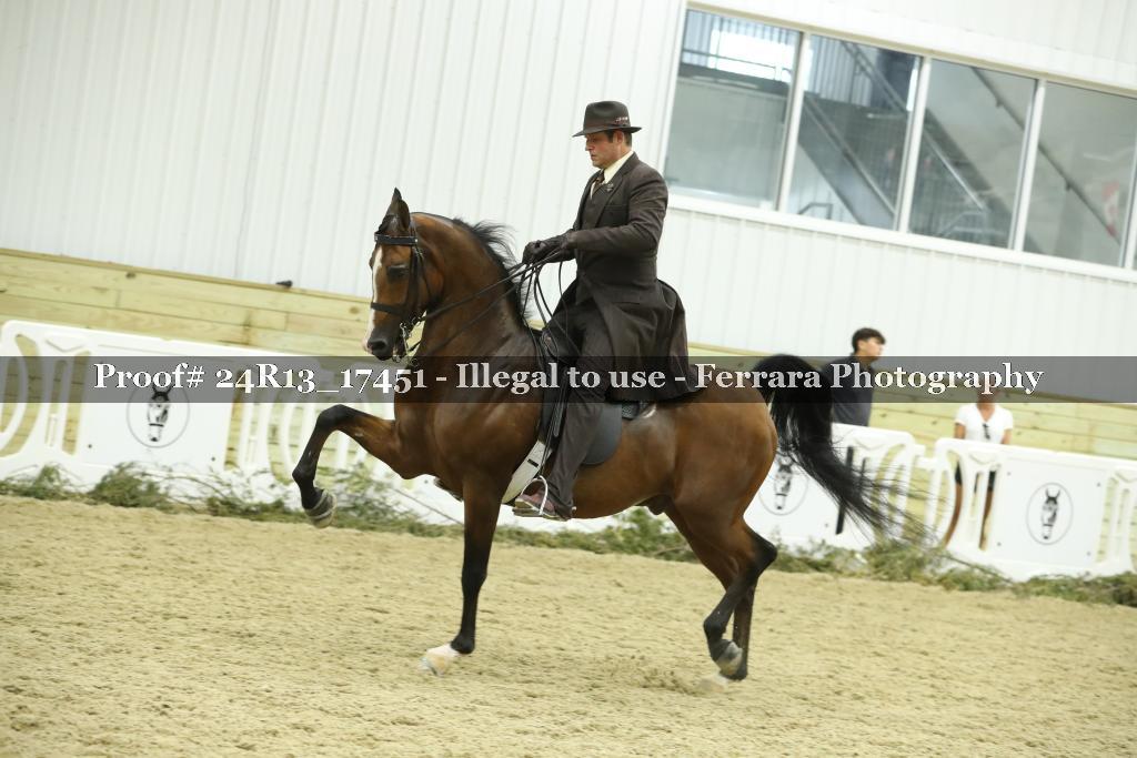Proof 24R13_17451