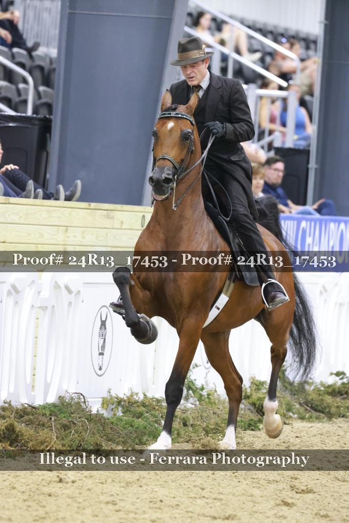 Proof 24R13_17453