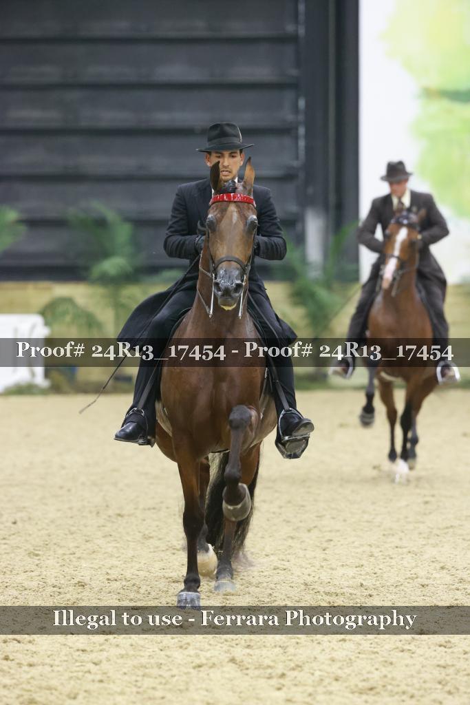 Proof 24R13_17454