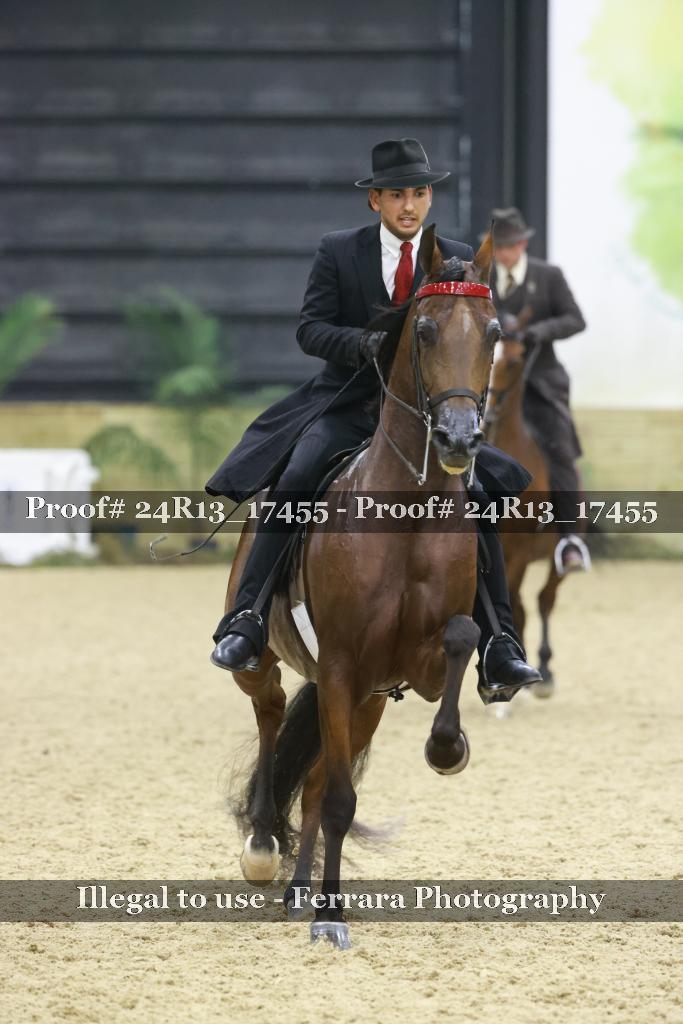 Proof 24R13_17455
