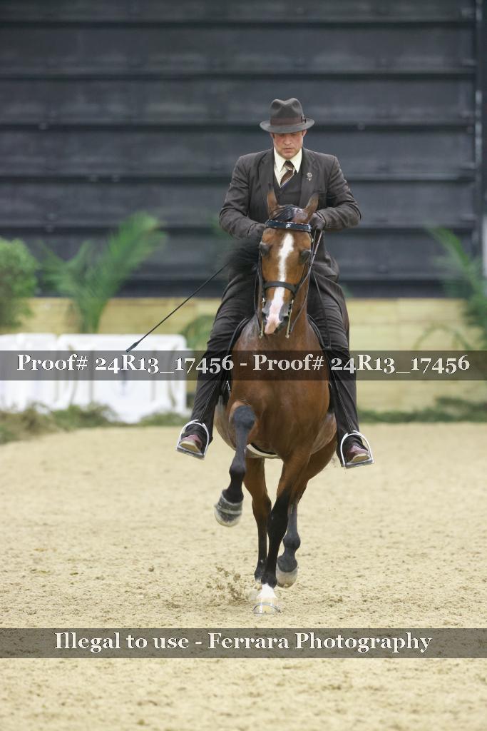 Proof 24R13_17456