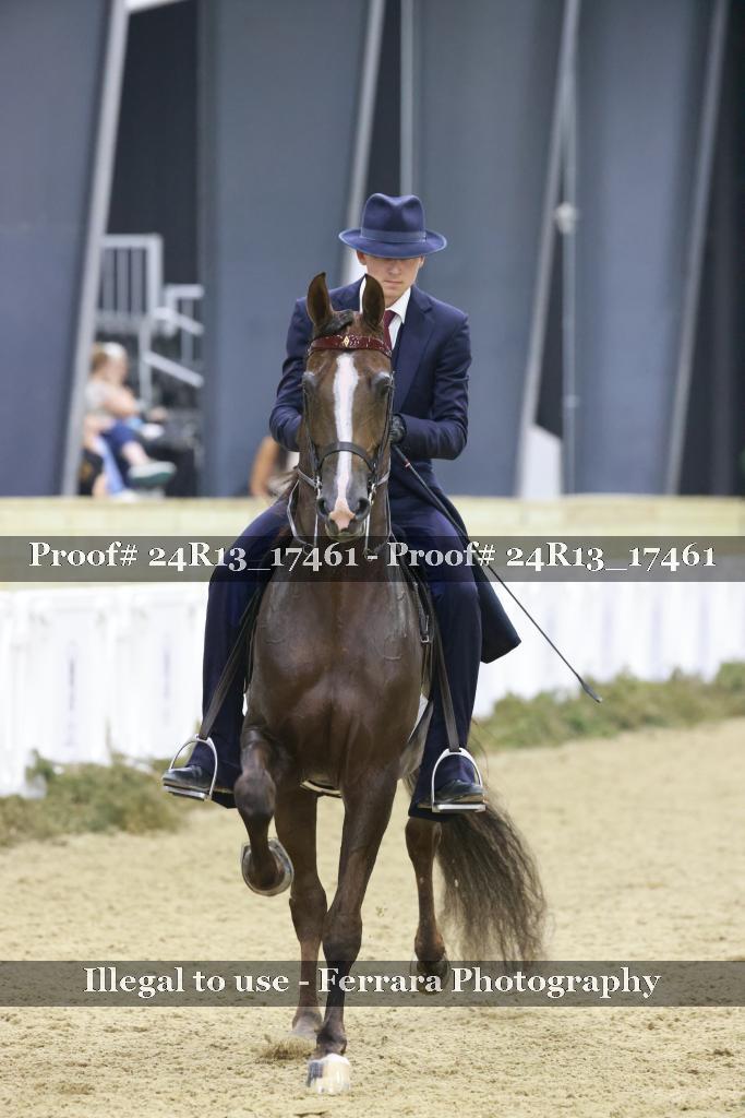 Proof 24R13_17461