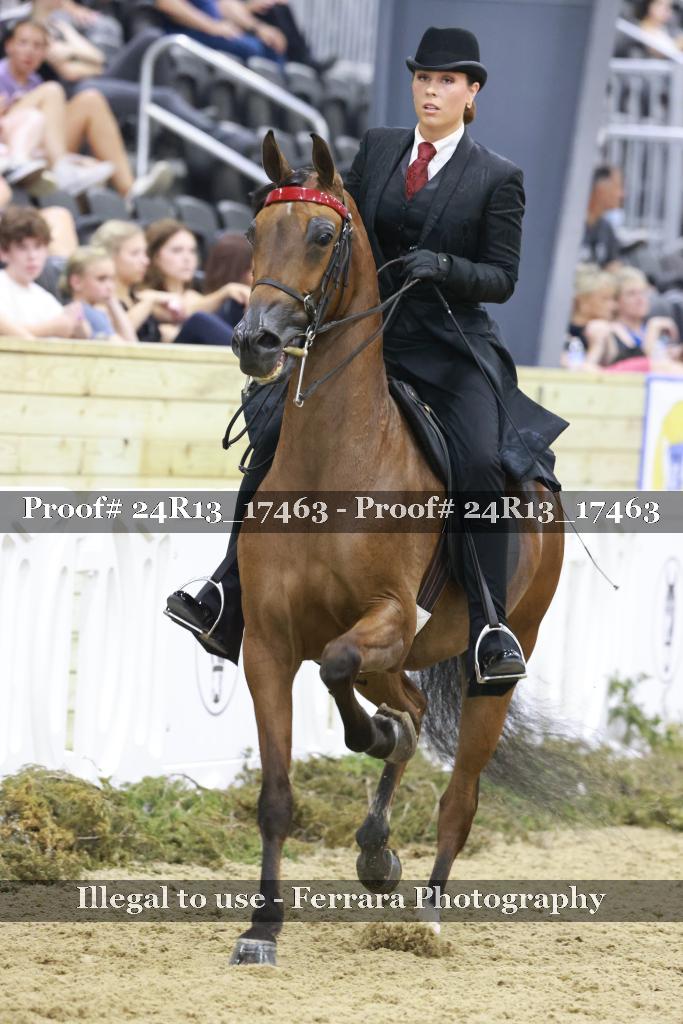 Proof 24R13_17463